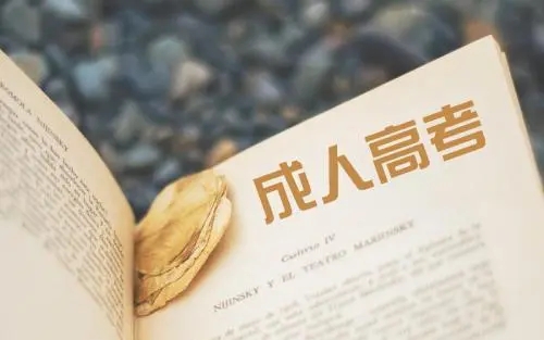 2022年贵州成人高考高起点语文修辞手法